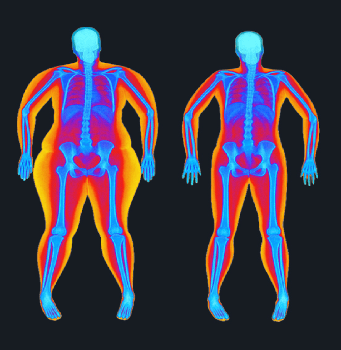 Metabolic & Weight Optimization