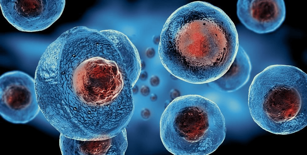 Regenerative & Cellular Medicine Hero Image